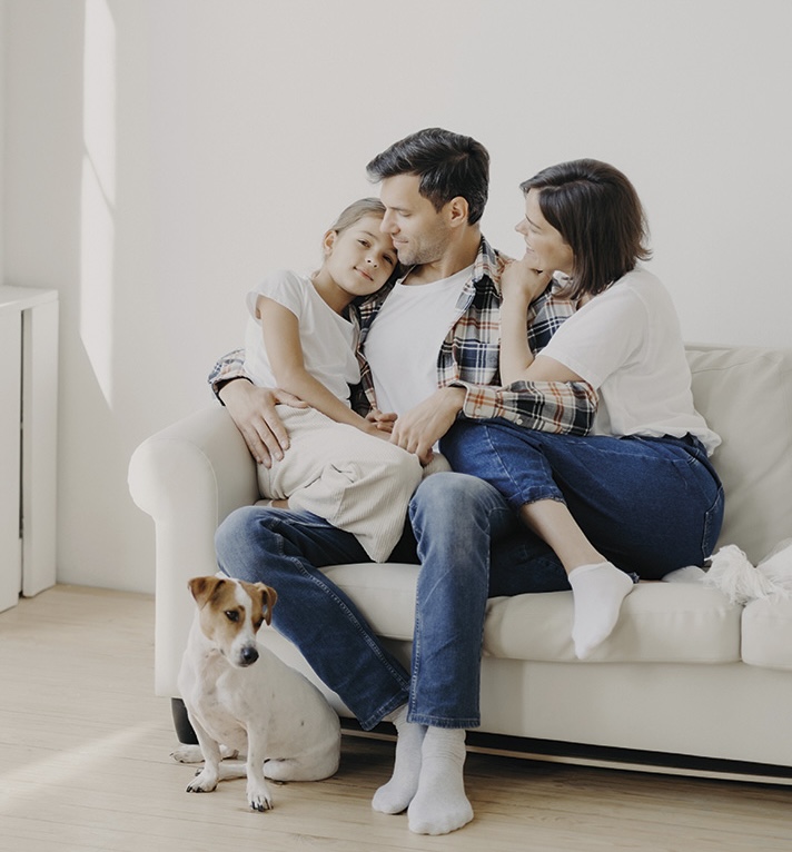 Atena Professional products