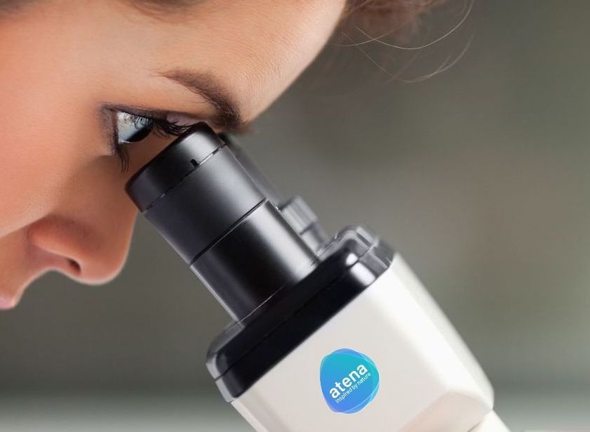 Corso multidisciplinare "Conoscere per Conservare"