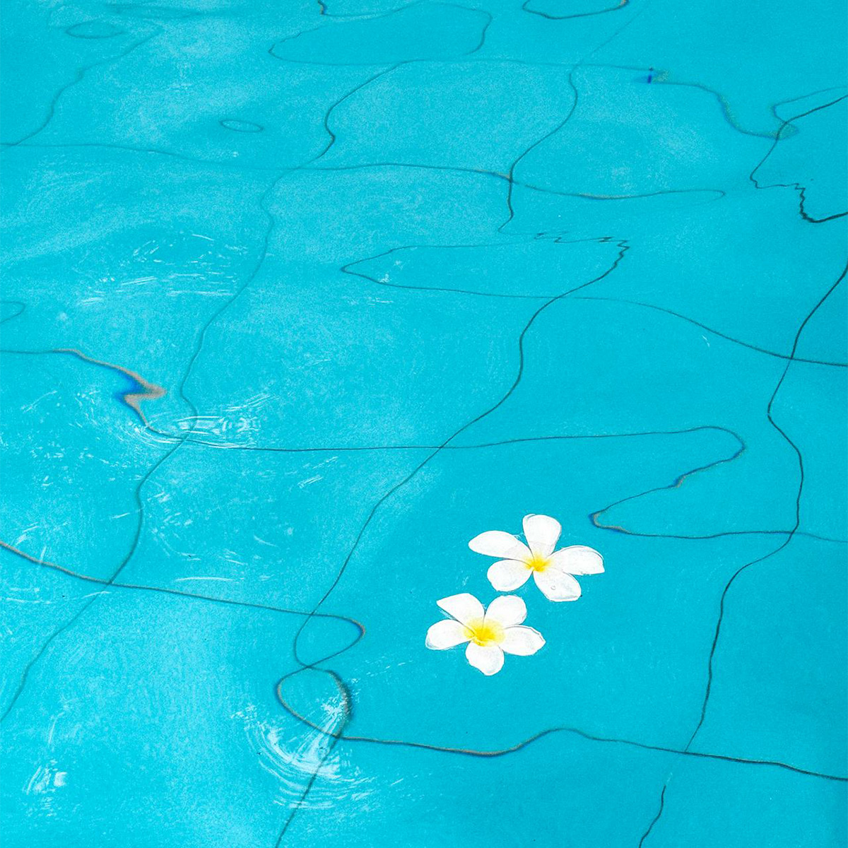 Atena - Domestic products image